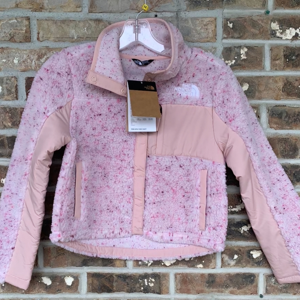 The North face Fleece Mashup Jacket